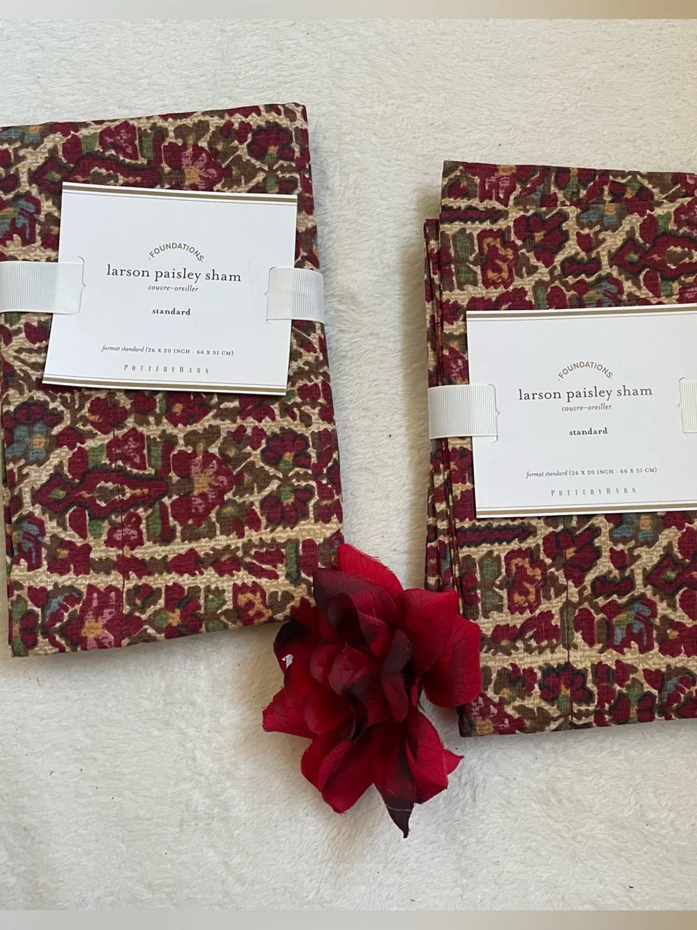 NWT Discontinued Pottery Barn Larson Paisley Shams